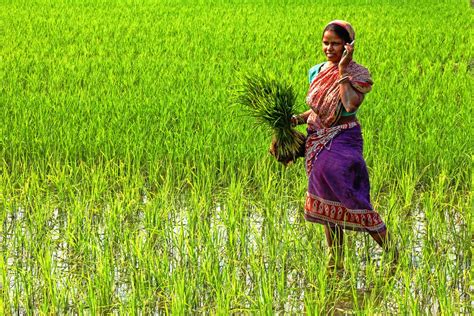 Woman In Agriculture Smithsonian Photo Contest Smithsonian Magazine