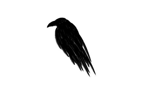 Black Raven Crow Silhouette Isolated On A White Background