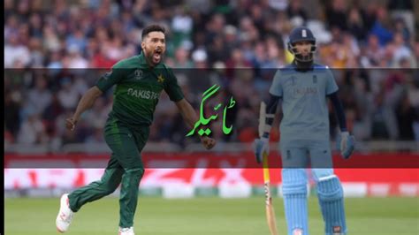 Text to compose a written status update. WhatsApp Video Status in Urdu | PAK vs IND Match | Cricket ...