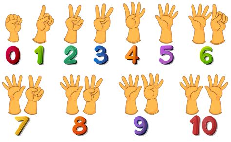Numbers Collection In Cartoon Style Vector Free Downl