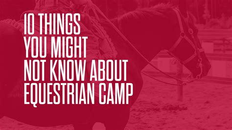 10 Things You Might Not Know About Equestrian Camp