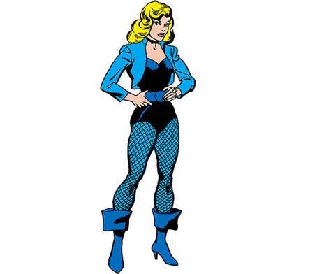Black Canary Dc Comics The 1960s Character Profile Justice