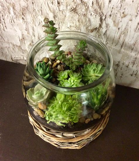 Maybe you would like to learn more about one of these? Desert Delight Succulent Garden in Studio City, CA | Dee's ...