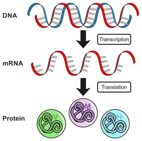 Find the latest moderna, inc. mRNA-1273 - John Catanzaro - Medium