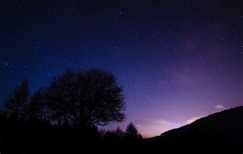 Free Images Tree Sky Night Star Atmosphere Slope Darkness