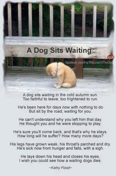 A Waiting Dog Dies Dogs Dog Quotes Dog Sitting