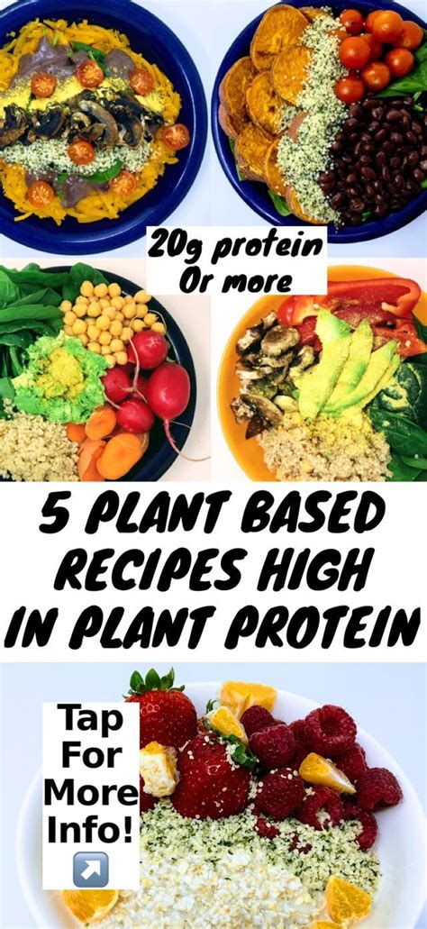5 High Protein Plant Based Recipes Any Reason Vegans Meal Prep Meal