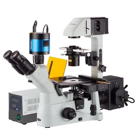 40x 1500x Inverted Phase Contrast Fluorescence Microscope With 6mp E