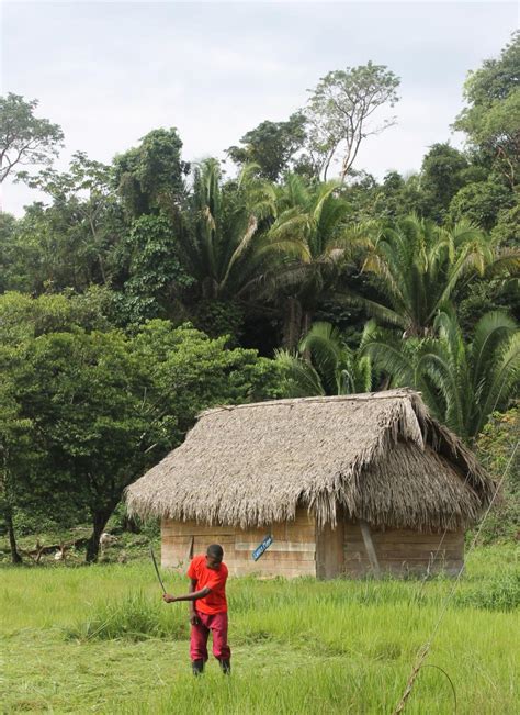 Campaign Update Belize People Return To Supreme Court For Protection