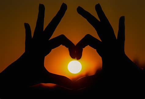Фотография силуэты Солнце рассвет и закат рука Пальцы 4403x3028
