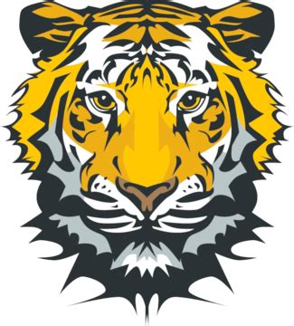 Tiger Head Tiger Striped Graphic Vector Tiger Striped Graphic PNG