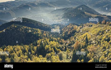 Aerial Green Pine Trees Forest At Mountain Ridges Autumn Nobody Nature