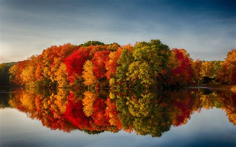 The Science Behind Fall Foliage Case News
