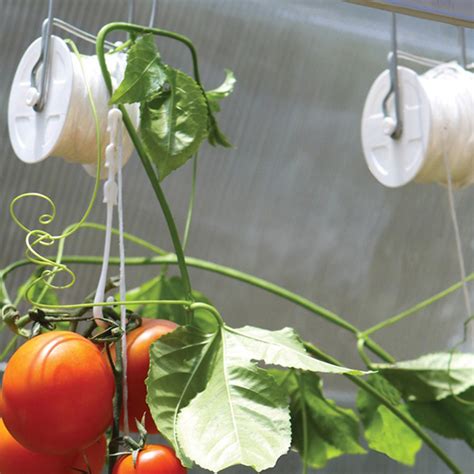 Greenhouse Tomato Plant Accessory Trellising Roller Hook Supplier