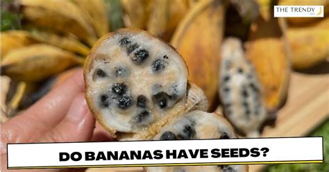 Do Bananas Have Seeds The Surprising Truth