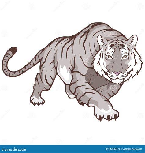White Bengal Tiger Stock Vector Illustration Of Logo 109049476