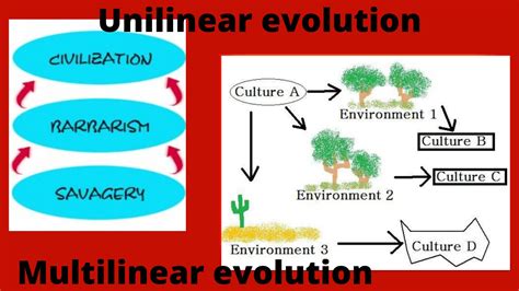 Cultural Evolution Theory Of Cultural Change Anthromania