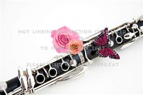 Clarinet Butterfly Music Entertainment Clarinet Backgrounds