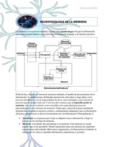 Neurofisiología De La Memoria Jesus Mateo Zapa Udocz