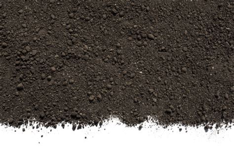 Soil Or Dirt Isolated On White Background Stock Photo Download Image
