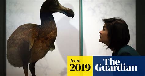 Why Sexist Bias In Natural History Museums Really Matters Science The Guardian