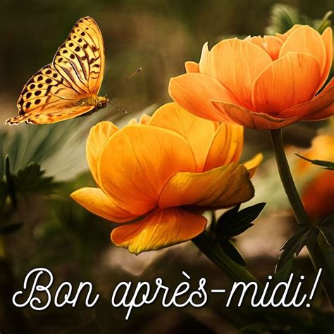 Images De Bon Apr S Midi Pour Saluer Vos Amis En Bon Apr S Midi Apr S Midi Midi