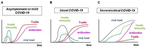 Ijms Free Full Text Adaptive Immunity To Viruses What Did We Learn