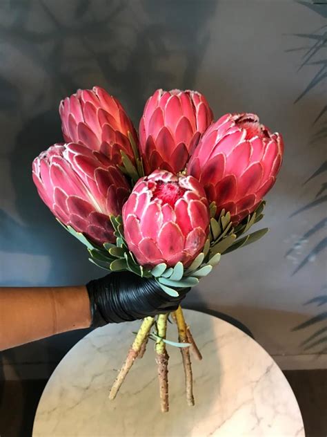 We are proud of our product and we guarantee it! Venus Proteas - Mayflower Shop