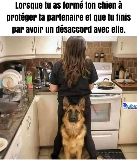 Lorsque Tu As Formé Ton Chien à Protéger Ta Partenaire Et Que Tu Finis