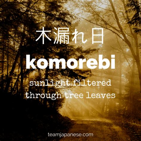 12 Beautiful And Untranslatable Japanese Words Team Japanese