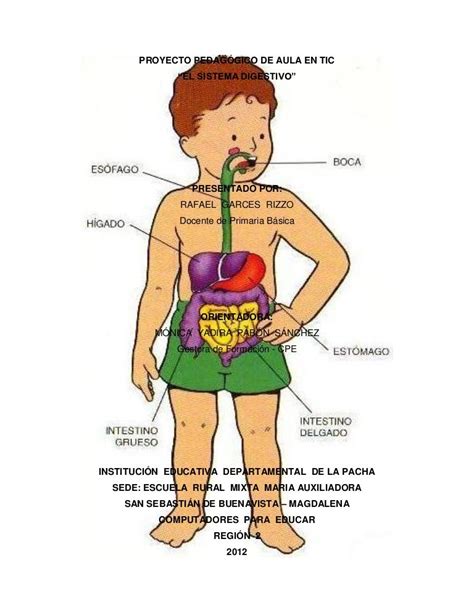 Proyecto De Aula Tic El Sistema Digestivo