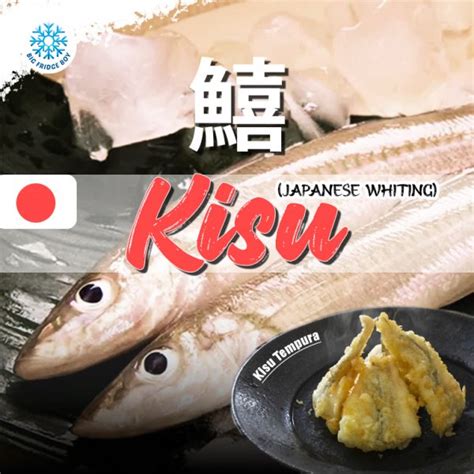 A Culinary Delight In Tempura Kisu Fish Japanese Whiting Bigfridgeboy