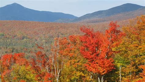 Upstate Ny Fall Colors Guide Where And When To Go