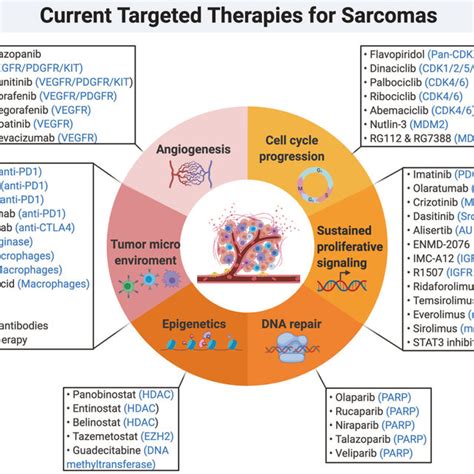 Current Targeted Therapies For Soft Tissue Sarcomas And Their