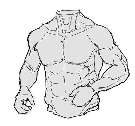 Painstaking Lessons Of Info About How To Draw The Torso Significancewall