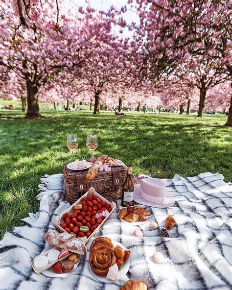 Grabbing Some French Snacks Under 250 Cherry Trees 🌸 Whats Your Favorite Thing To Do In Spring