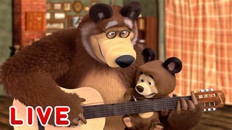 🔴 live 🐻 masha y el oso 👵🤗 ¡encuentra tus raices 🫂👴 masha and the bear 👱‍♀ youtube