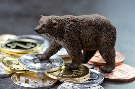 During the bear markets, do what bears do—hibernate. How can you optimize your taxes in the crypto bear market?
