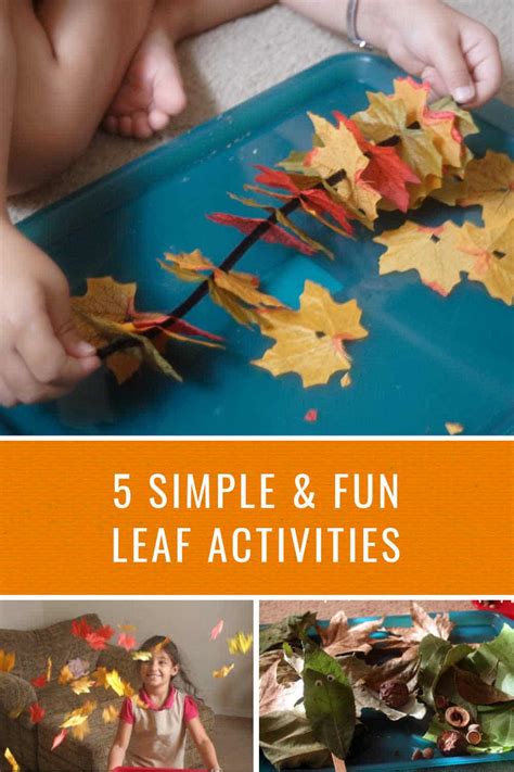 5 Simple Leaf Activities For Kids