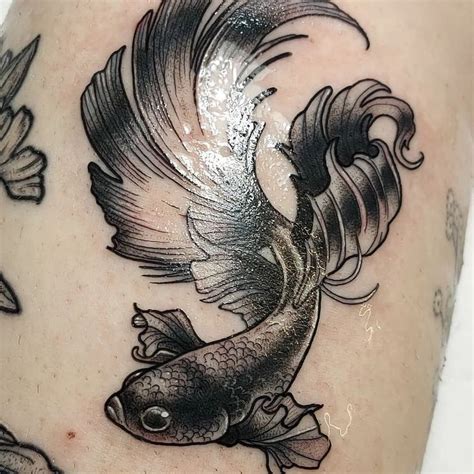 Betta Fish Tattoo Betta Fish Tattoo Design Simple Betta Fish Tattoo