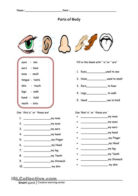 The body resource set introduces twelve vocabulary words that reappear in eight different activities. Part of body | Primaire, Anglais