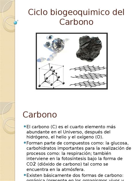 Ciclo Biogeoquimico Del Carbono Dióxido De Carbono Ciclo Del Carbono