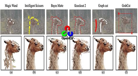 Grabcut For Automatic Image Segmentation Opencv Tutorial