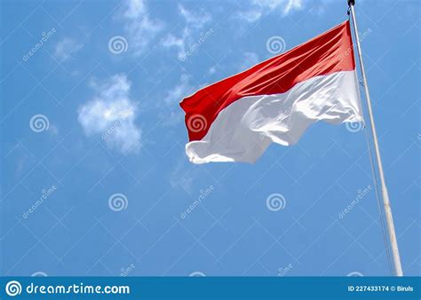 Bendera Merah Putih Indonesia Independence Vector Cartoondealer Com