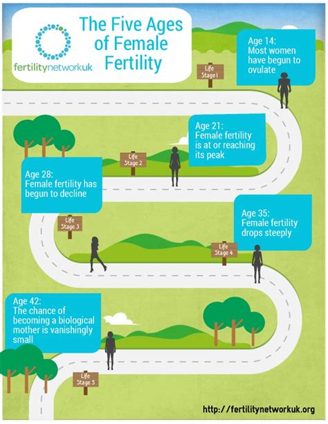 Fertility Network Age And Fertility Fertility Network