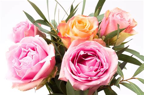 Rose Blumenstrauß Blume Kostenloses Foto Auf Pixabay
