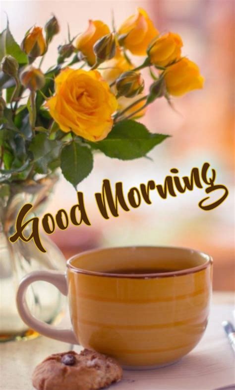 Pin by Lara on Morning wishes | Good morning quotes, Good morning, Good morning images