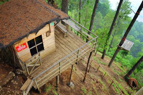 Berikut beberapa contoh desain gambar rumah kayu kami permintaan dari pemesan: Omah Kayu Paralayang Malang Sensasi Menginap di Atas Pohon ...