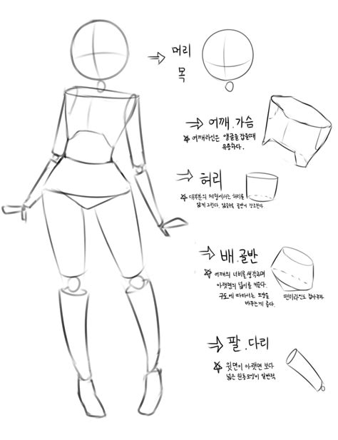 Anatomy Drawing For Beginners How To Draw Nezuko Basic Anatomy Anime Drawing Tutorial For