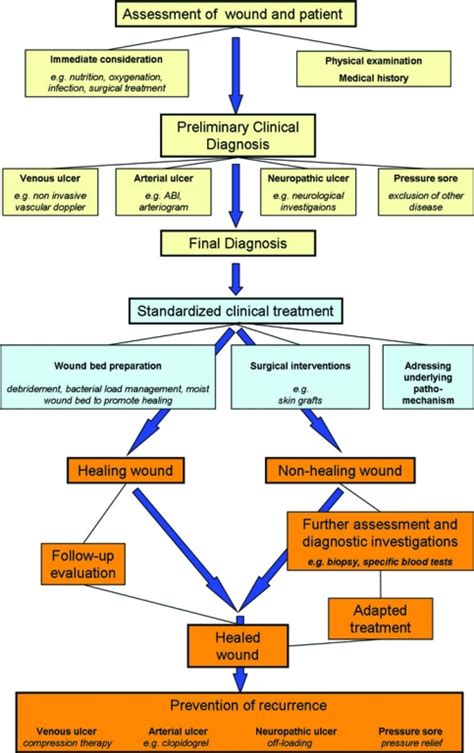 A Management Strategy For Treatment Of Chronic Wounds Download